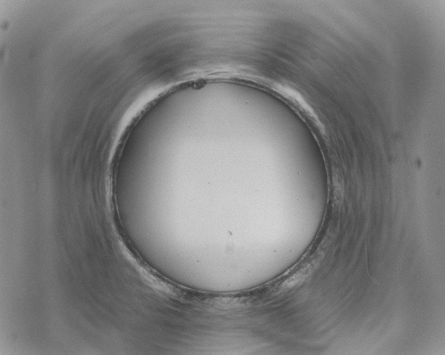 X0000072951424200608111614