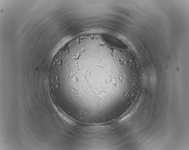 X0000072951425200608111614