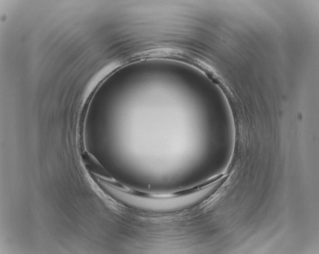 X0000072951426200608111614