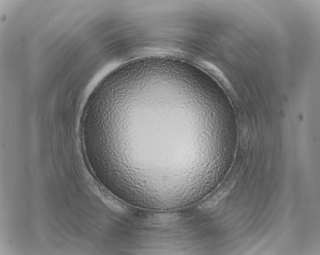 X0000072951427200608111614