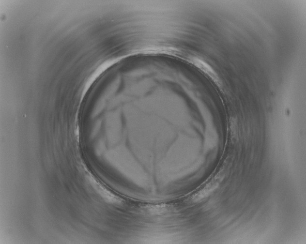 X0000072951428200608111614