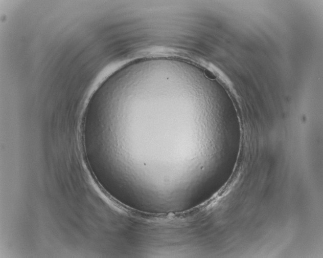 X0000072951429200608111614