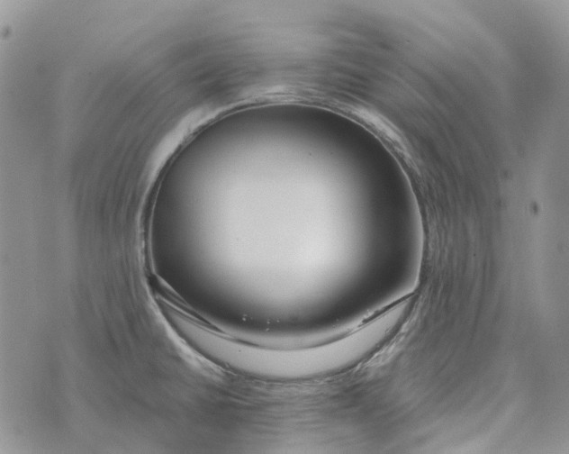 X0000072951430200608111614