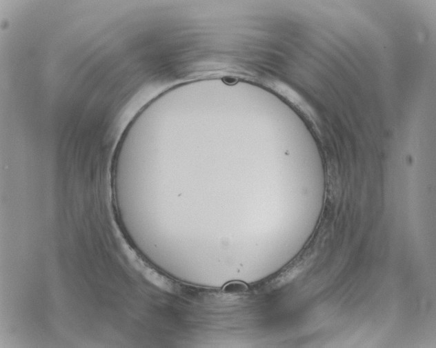 X0000072951431200608111614