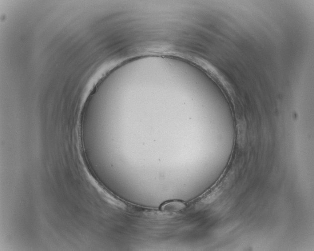 X0000072951432200608111614