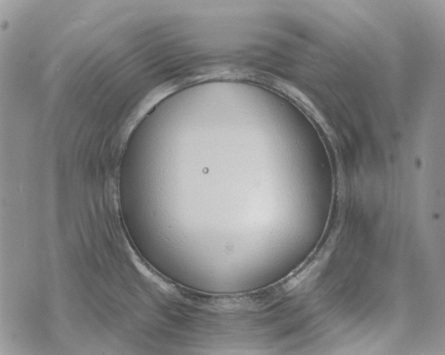 X0000072951433200608111614