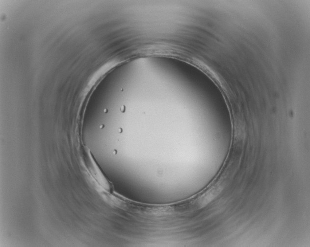 X0000072951434200608111614