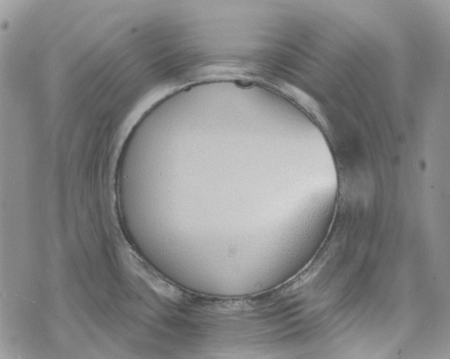 X0000072951435200608111614