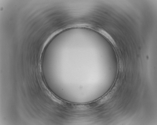 X0000072951436200608111614