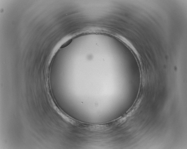 X0000072951437200608111614