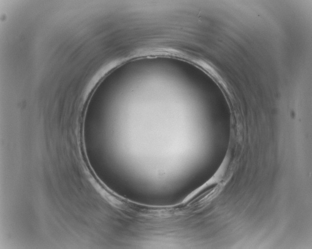 X0000072951438200608111614