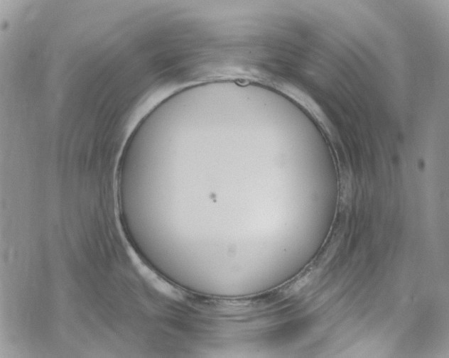 X0000072951439200608111614