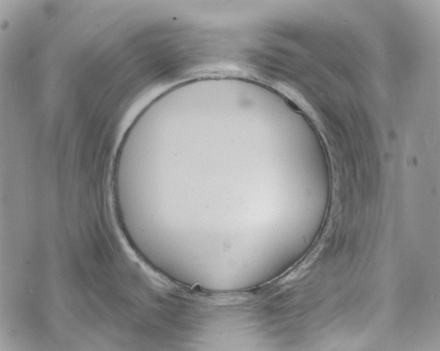 X0000072951440200608111614