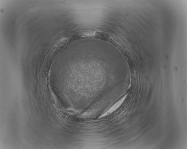 X0000072951441200608111614