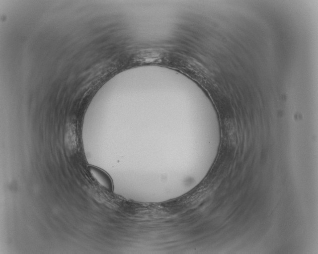 X0000072951442200608111614