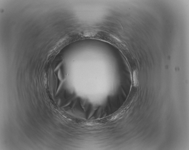 X0000072951443200608111614