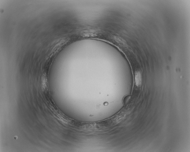 X0000072951444200608111614