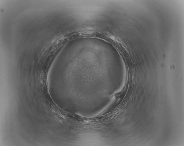 X0000072951445200608111614