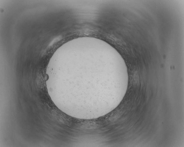 X0000072951446200608111614