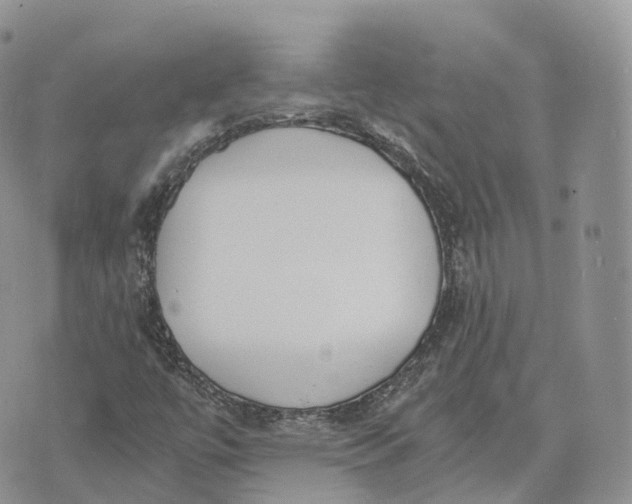 X0000072951447200608111613