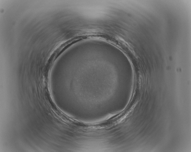 X0000072951449200608111613