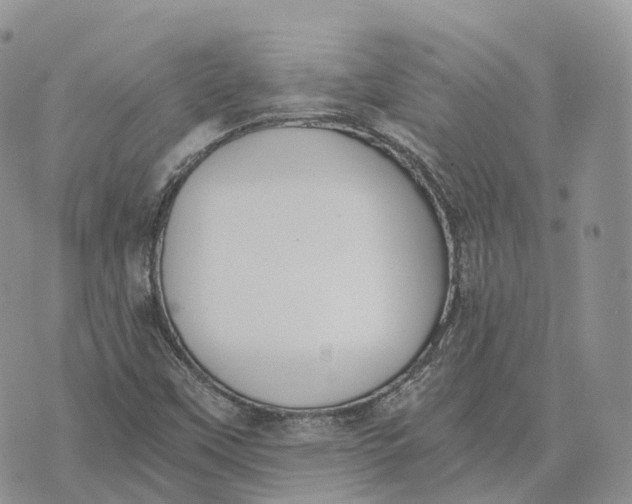 X0000072951451200608111613