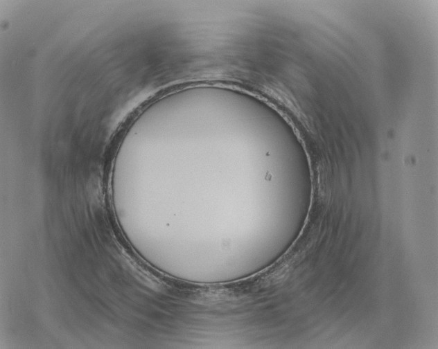 X0000072951452200608111613