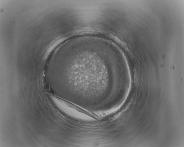 X0000072951453200608111613