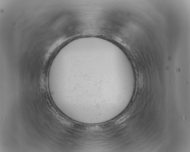 X0000072951454200608111613