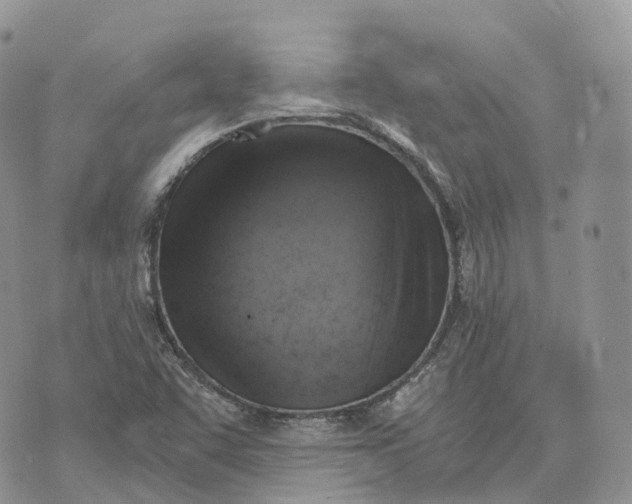 X0000072951455200608111613