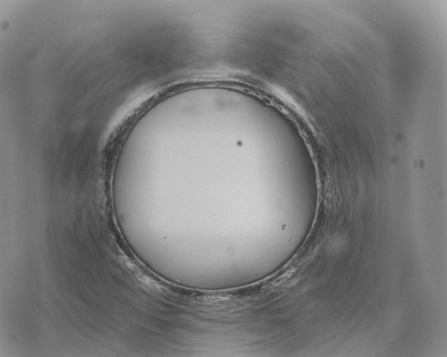 X0000072951456200608111613