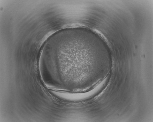 X0000072951457200608111613