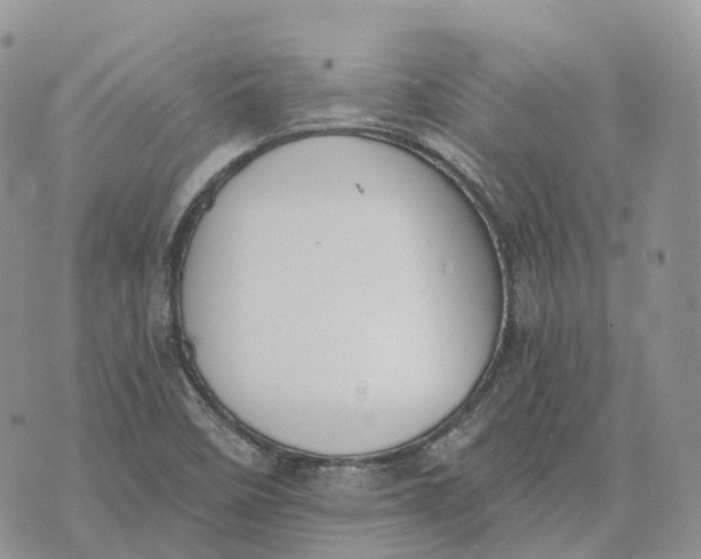 X0000072951458200608111613