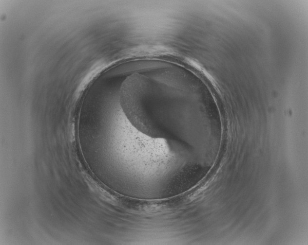 X0000072951459200608111613