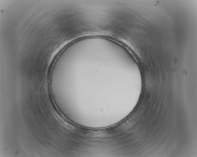 X0000072951460200608111613