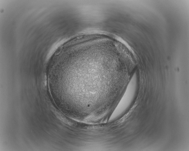 X0000072951461200608111613