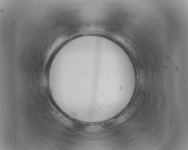 X0000072951462200608111613