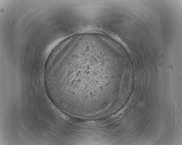 X0000072951463200608111613