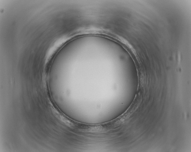 X0000072951464200608111613