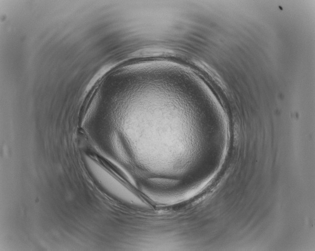 X0000072951465200608111613