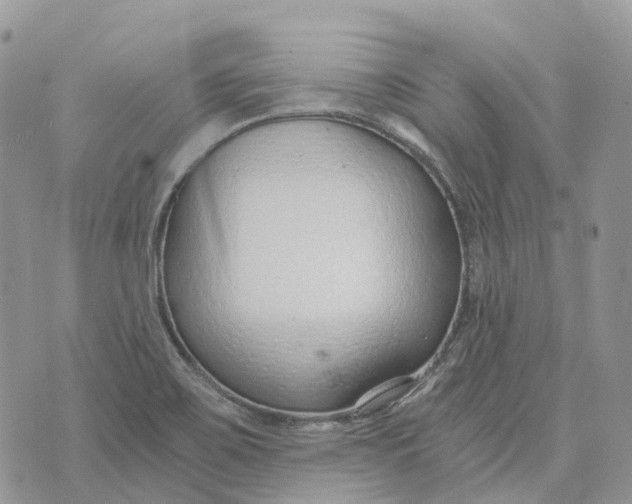 X0000072951467200608111613