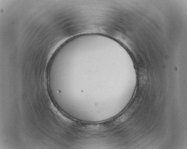 X0000072951468200608111613