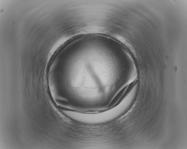 X0000072951469200608111613