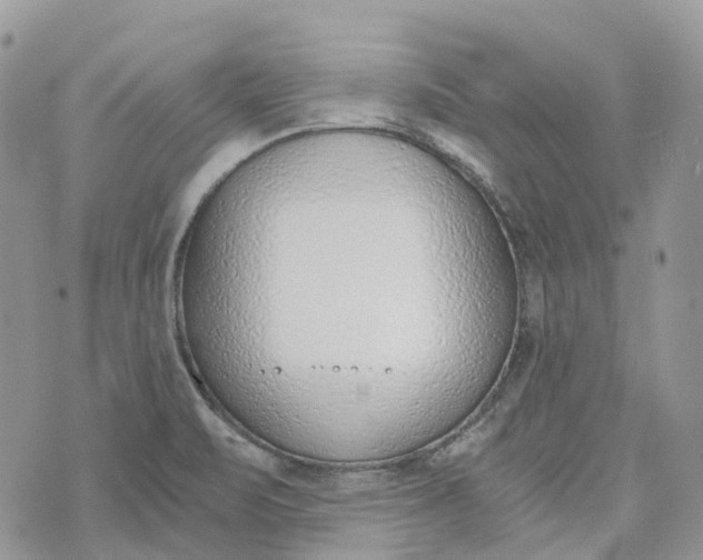 X0000072951471200608111613