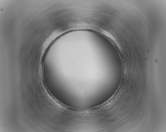 X0000072951472200608111613