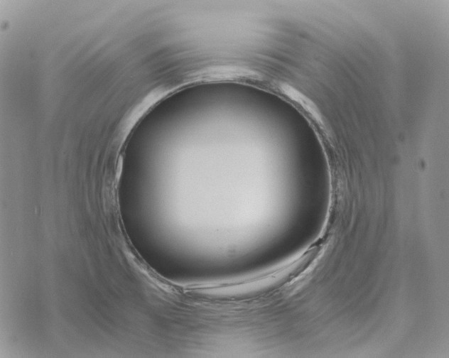 X0000072951473200608111613