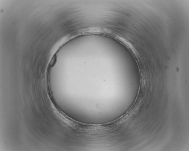 X0000072951475200608111613