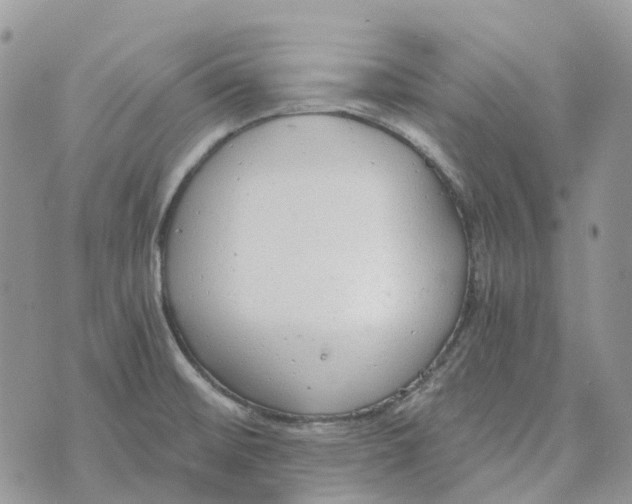 X0000072951476200608111613