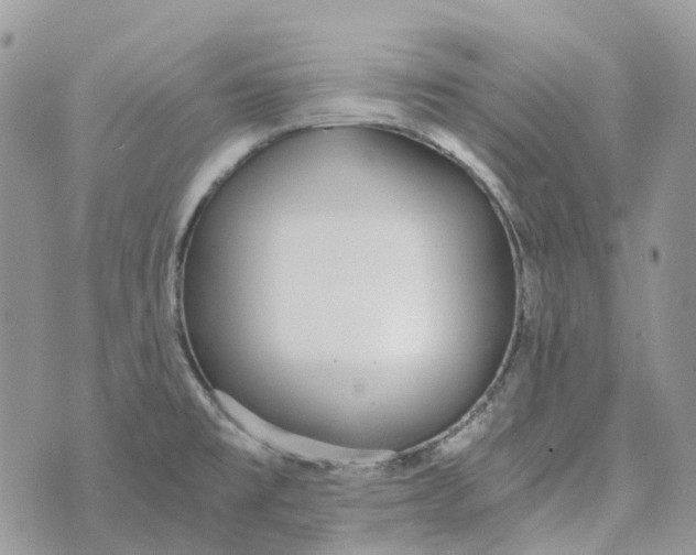 X0000072951477200608111613