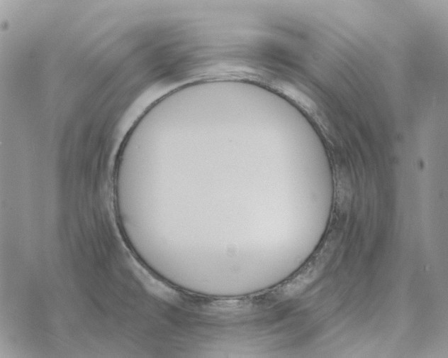 X0000072951478200608111613